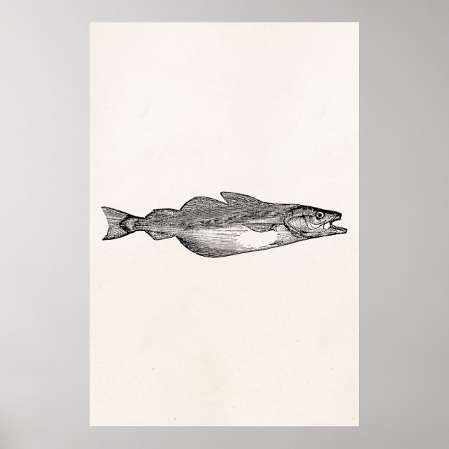 Poster Poisson vintage - Poisson aquatique Modèle (Devant)