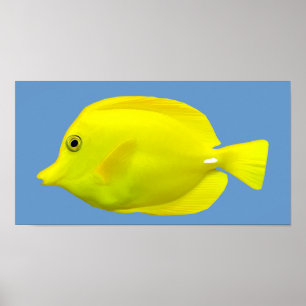 Poster Poissons tropicaux jaunes de Tang