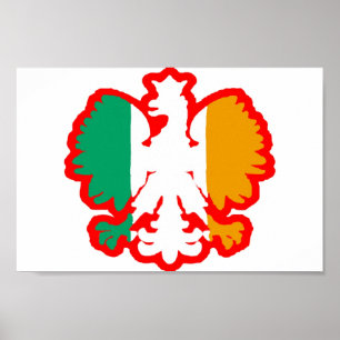 POSTER POLISH/IRISH FLAG