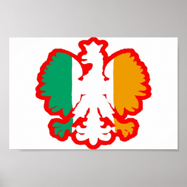 POSTER POLISH/IRISH FLAG (Devant)