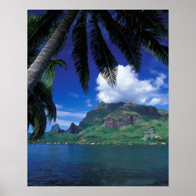 Poster Polynésie française, Moorea. Baie de Cooks. Vert (Devant)