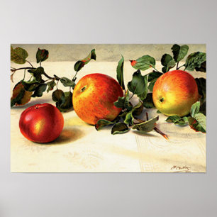 Poster Pommes Luscieuses