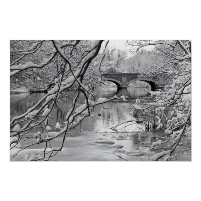 Poster Pont Arch au-dessus de la rivière Froid en hiver (Devant)