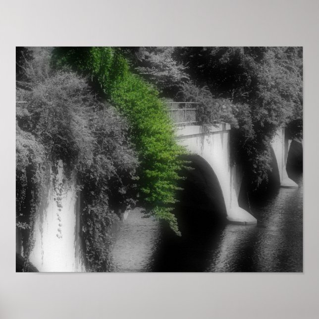 Poster Pont De Fleurs Couleur Partielle (Devant)