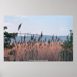 Poster / Pont de la baie Chesapeak