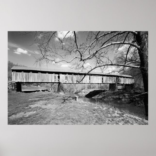 Poster Pont du crâne (Devant)