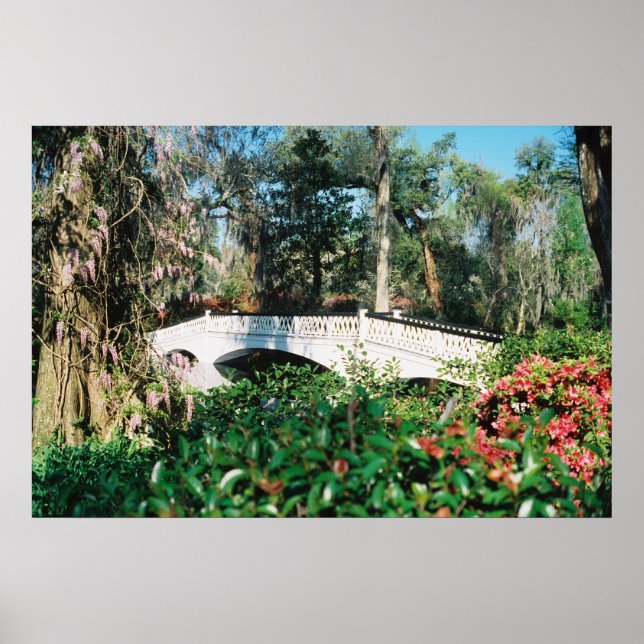 Poster Pont Magnolia (Devant)