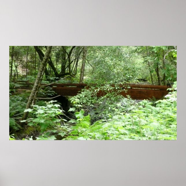 Poster Pont Muir Woods I (Devant)