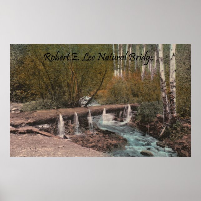 Poster Pont naturel Robert E. Lee (Devant)