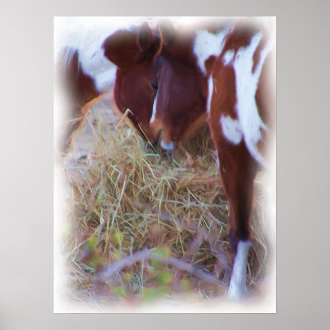 Poster Pony (Devant)