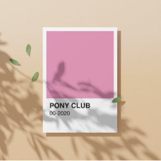 Poster Pony Club Chanson Couleur rose - Bordure blanche