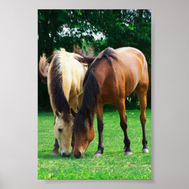 Poster Pony Love (Devant)