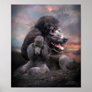 Poster Poodle Rock Art Poster/Imprimer