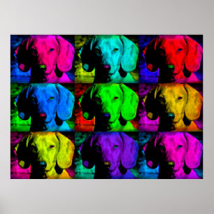 Poster Pop Art Dachshund Doxie Doux Visage Souloureux Yeu