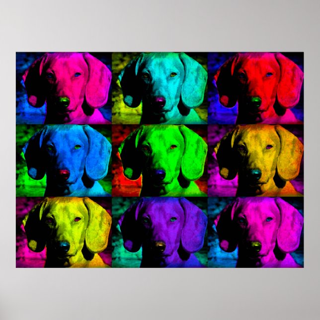 Poster Pop Art Dachshund Doxie Doux Visage Souloureux Yeu (Devant)