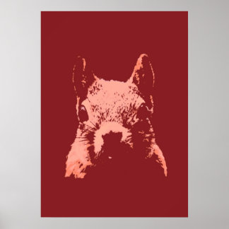 Poster Pop Art Squirrel