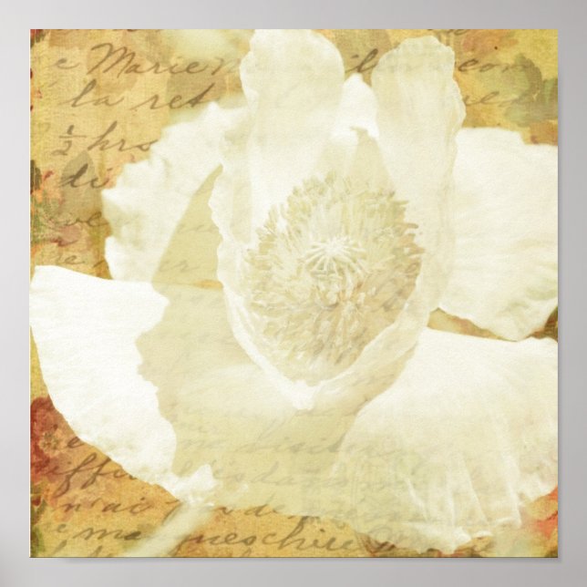 Poster Poppy Marie (Devant)