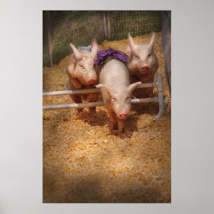 Poster Porc - obtention des obstacles passés