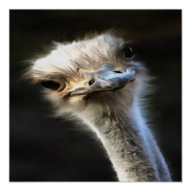 Poster Portrait Artistique Ostrich Avec Expression Goofy (Devant)