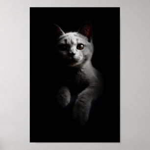 Poster Portrait Cat/Kitten/Kitty