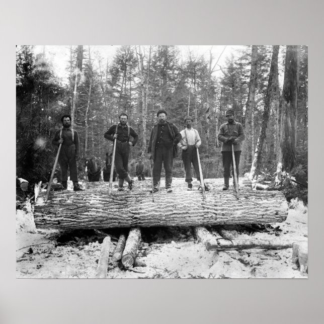 Poster Portrait de bûcherons, 1890. Photo ancienne (Devant)