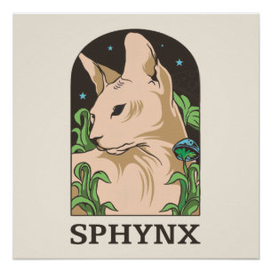 Poster Portrait de chat Sphynx dessiné à la main