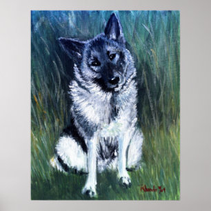 Poster Portrait de chien d'Elkhound de Norvégien