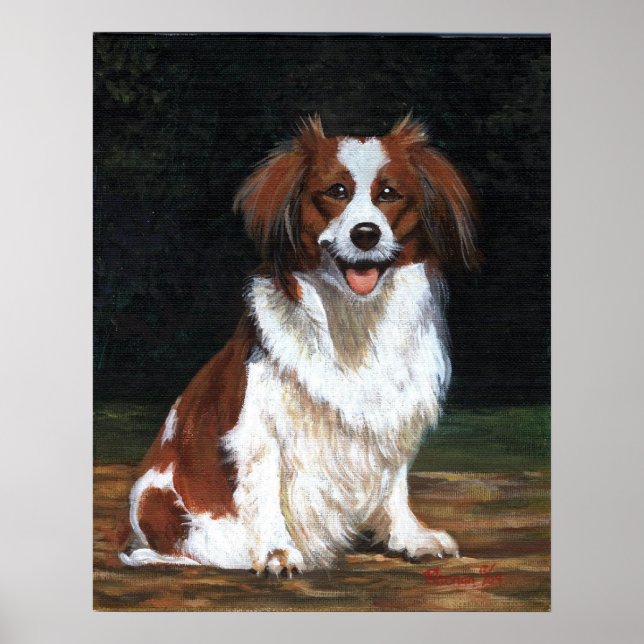 Poster Portrait de chien Kooikerhandje (Devant)