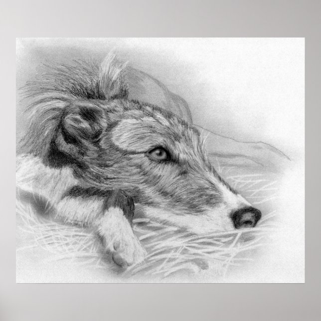 Poster Portrait de chien Lurcher (Devant)