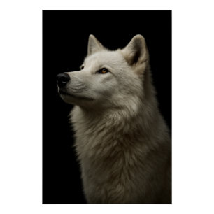 Poster Portrait de Loup Majestueux Force & Confiance Roya