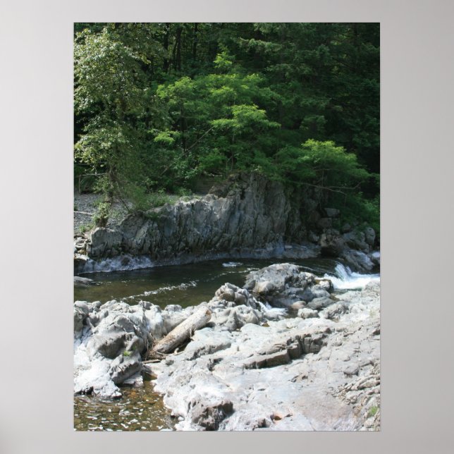 Poster Portrait de Lucia Falls (Devant)