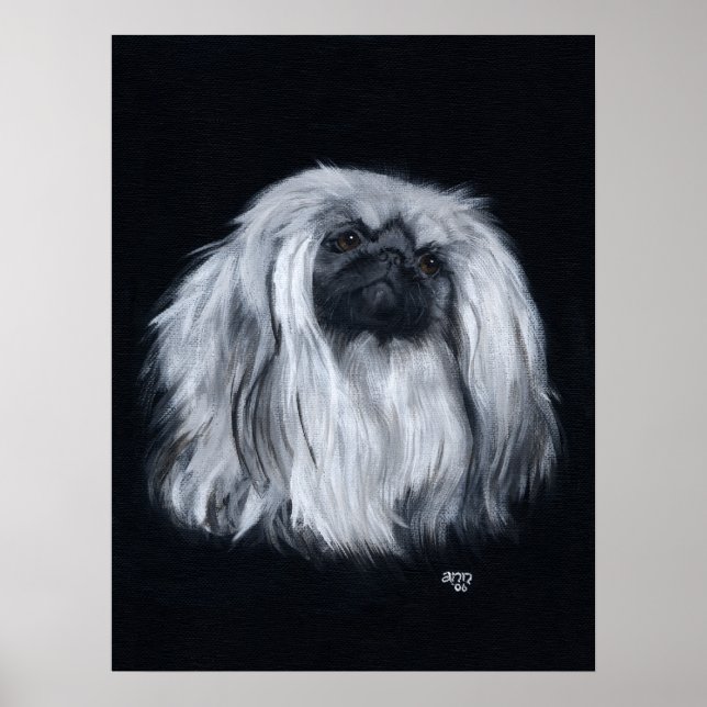 Poster Portrait de Pékinois en noir et blanc (Devant)