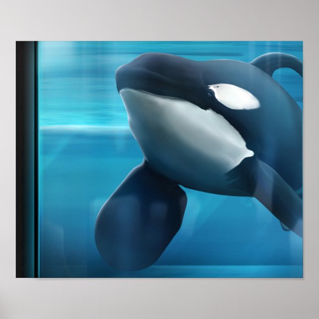 Poster Portrait de Tilikum (Devant)