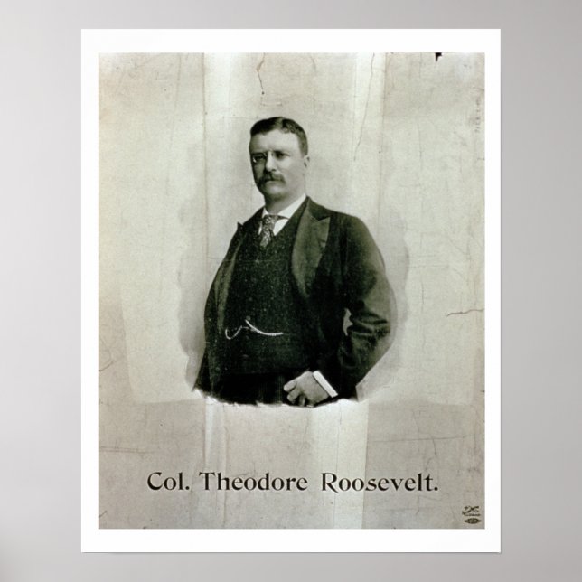 Poster Portrait du colonel Theodore Roosevelt (Devant)