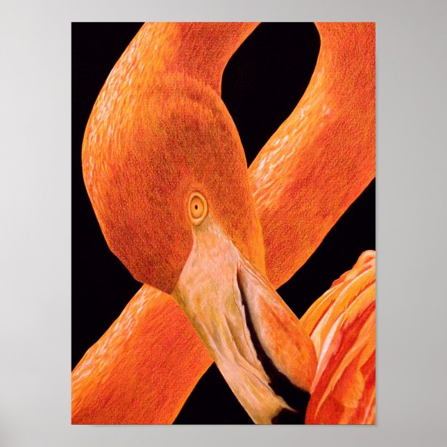 Poster Portrait Flamant rose (Devant)