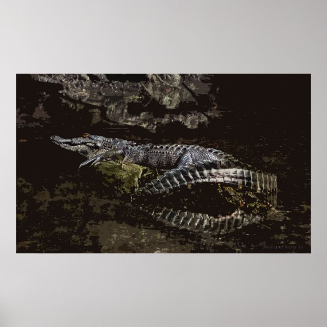 Poster Portrait Gator (Devant)