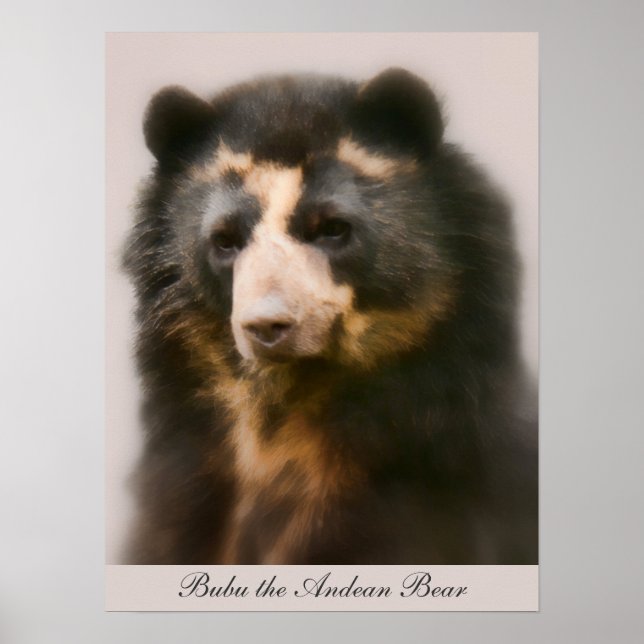 Poster Portrait Noble Bubu (Devant)