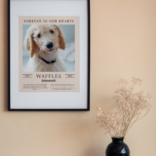 Poster Portrait photo mémorial d'un chien brun et sable