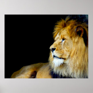 Poster Portrait royal