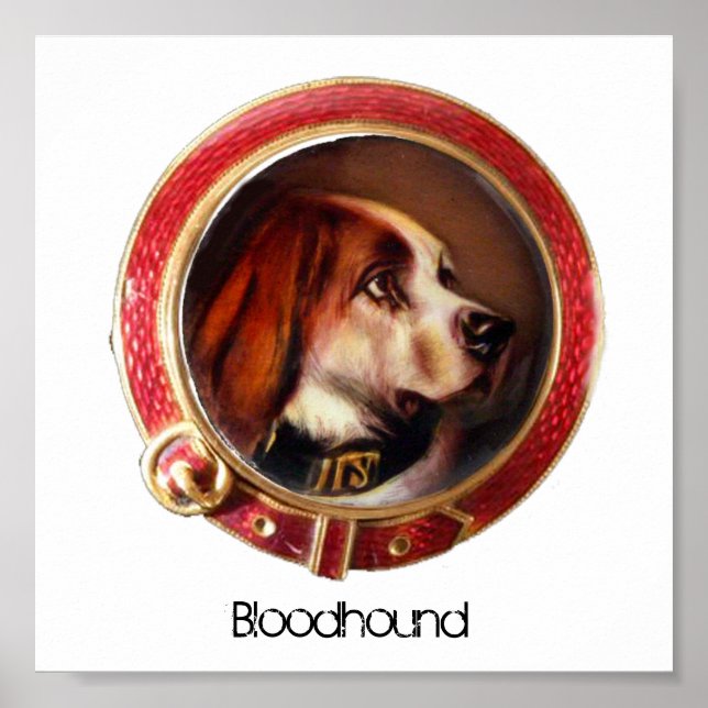 Poster PORTRAITS MINIATURES DE CHIEN VICTORIENS Bloodhoun (Devant)