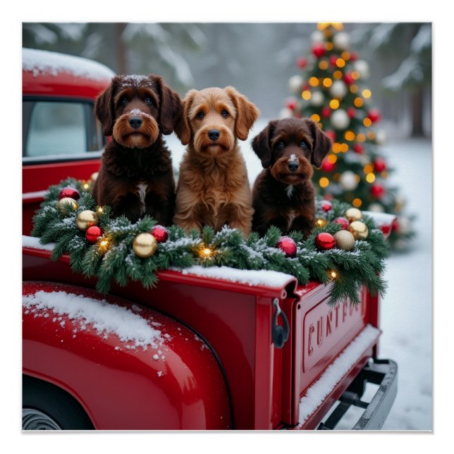 Poster Portuguese Water Dog Christmas Red Truck Holiday (Devant)