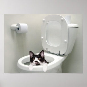 Poster Pose le couvercle