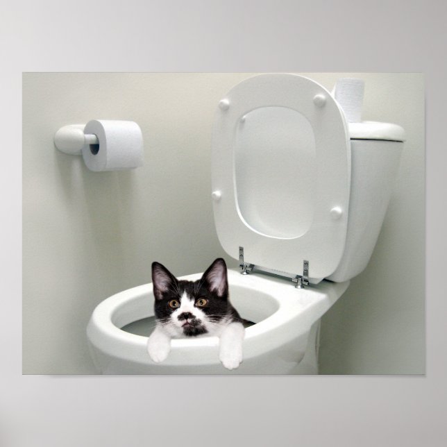 Poster Pose le couvercle (Devant)