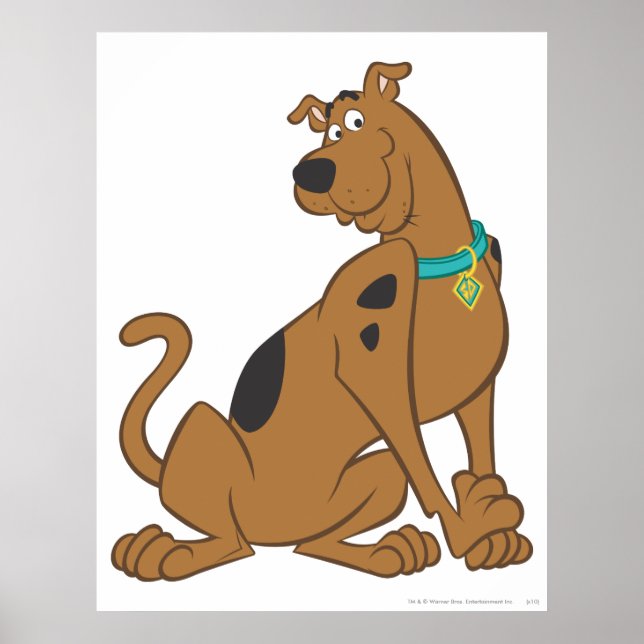 Poster Pose Scooby-Doo Bashful (Devant)