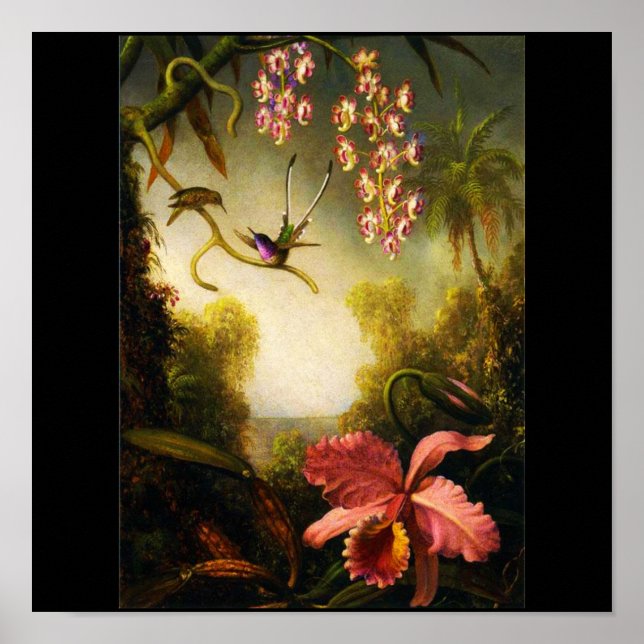 Poster Poster-Classic/Vintage-Martin Johnson Heade 30 (Devant)
