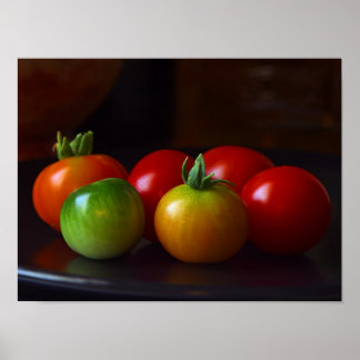 Poster posterl de la maturation des tomates DE 14.95