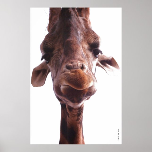 POSTER POSTES COLOSSAL - VISAGE GIRAFFE - PHOTO HUMOUR (Devant)