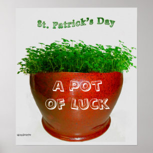 Poster Pot de shamrock