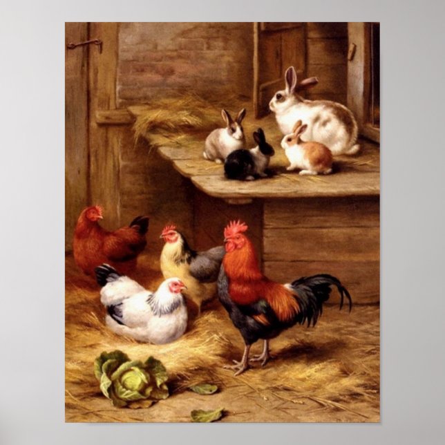 Poster Poules de coq de lapin animaux animaux de ferme la (Devant)