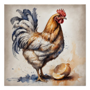 Poster Poulet d'aquarelle no 2
